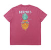 Pineapple Fiesta