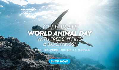 Celebrate World Animal Day with Free Shipping & Big Savings! 🐾🌊(Finished)
