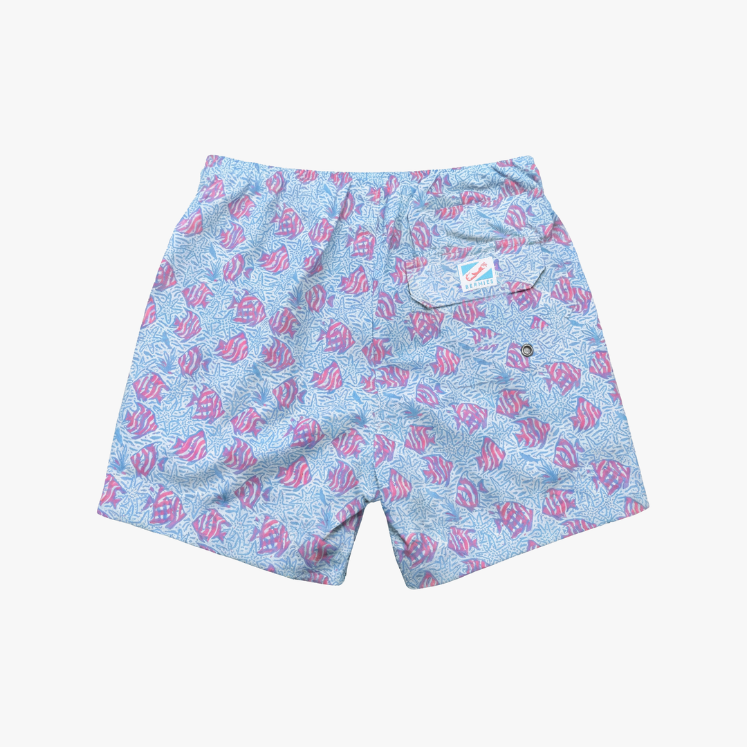 Coral Fish