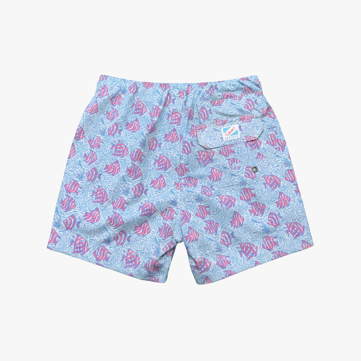Coral Fish
