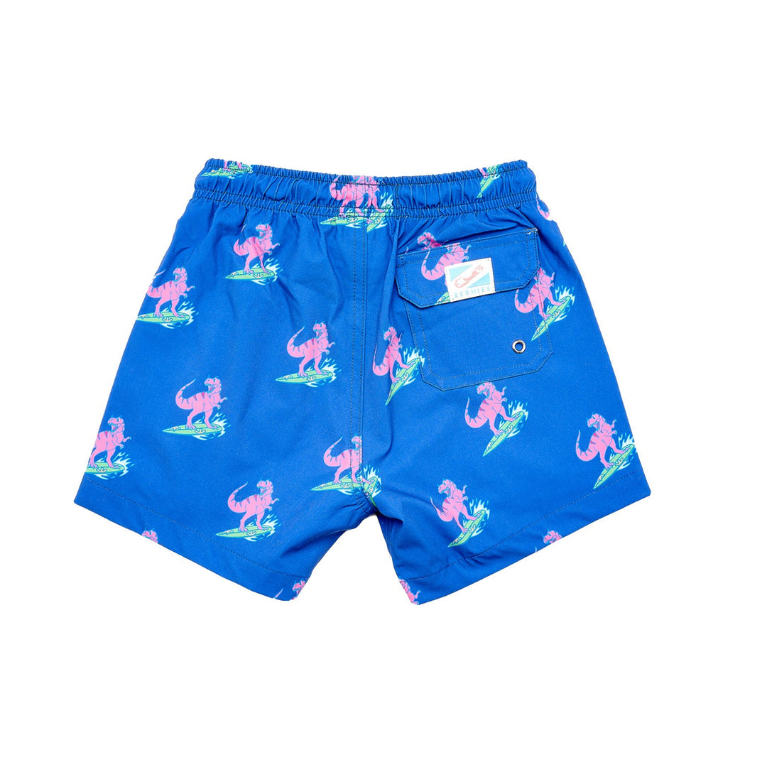 Jurassic Beach