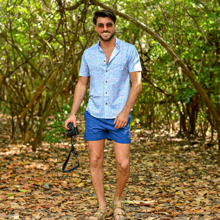 Navy and Blue