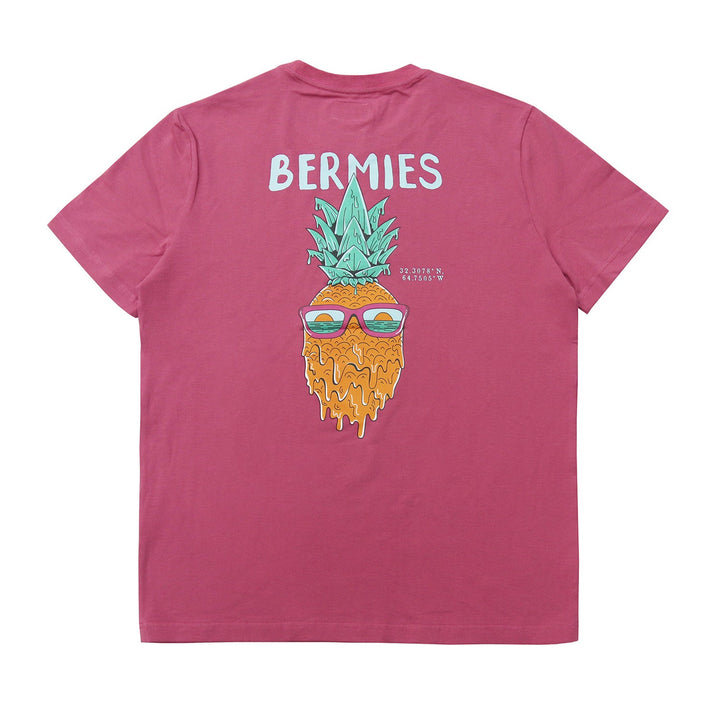 Pineapple Fiesta