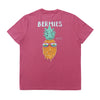 Pineapple Fiesta