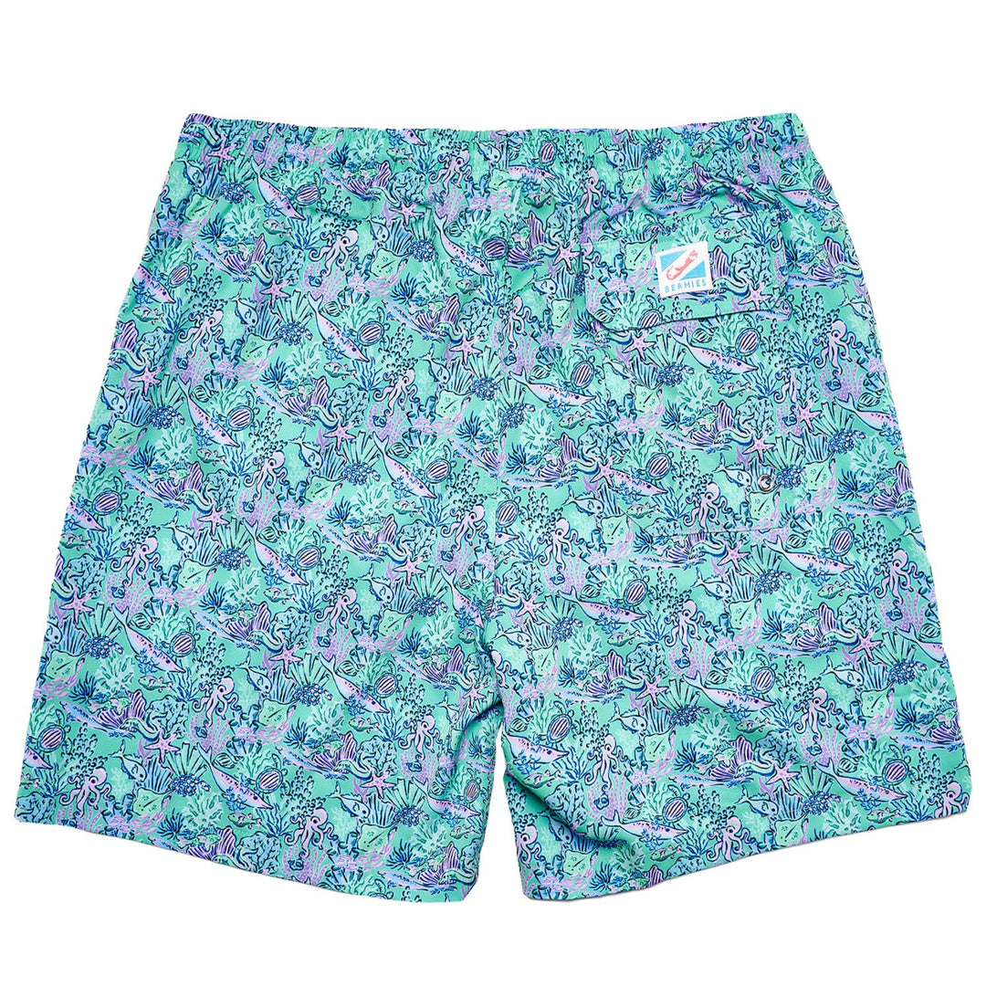 Reef