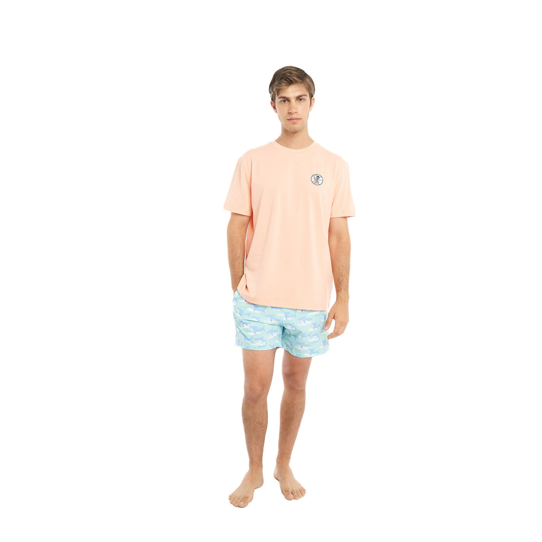 Summer Vibes