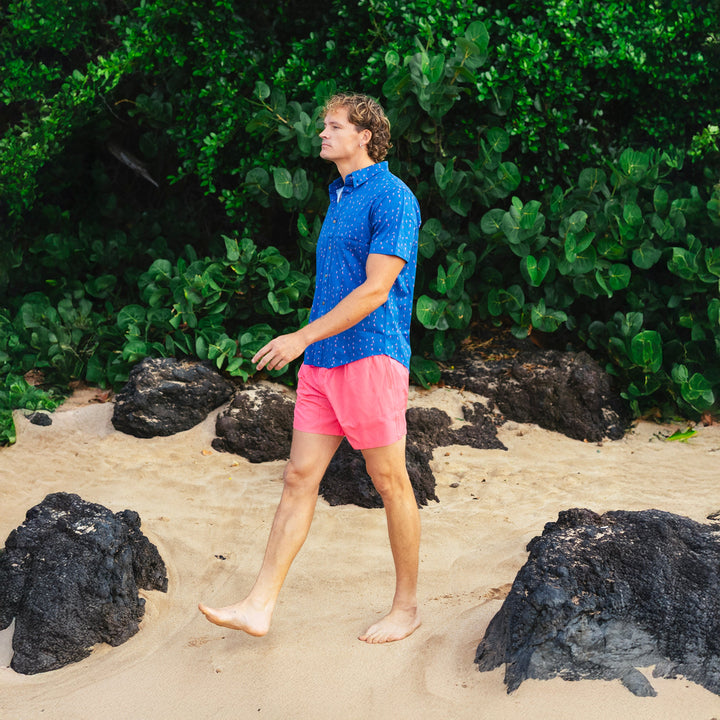 Surfing