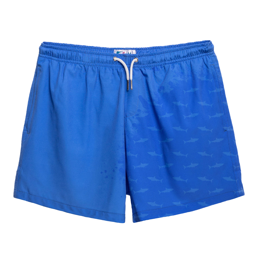  Blue to Shark