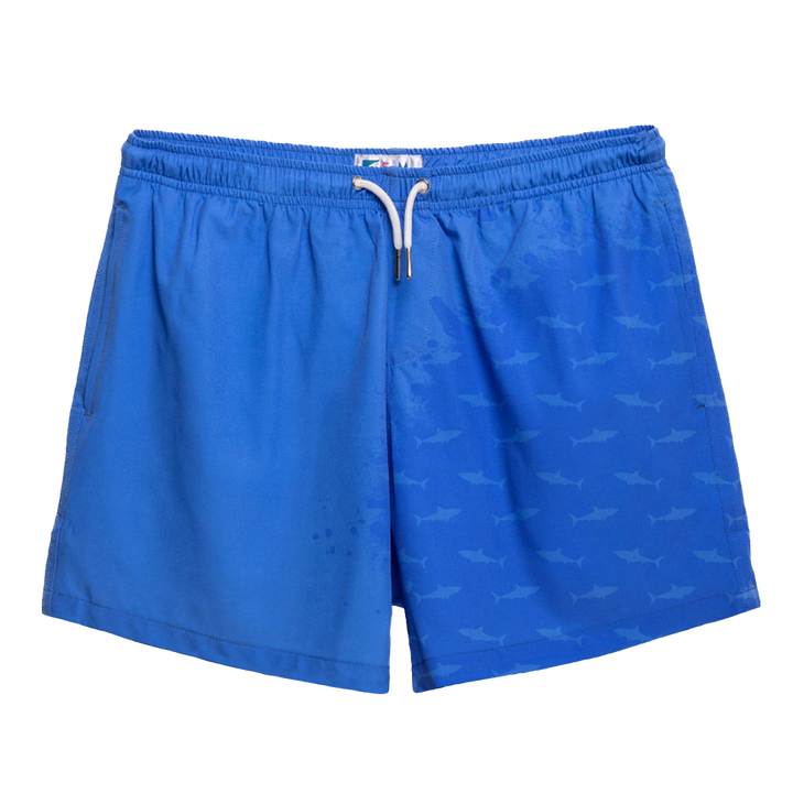 Blue to Shark