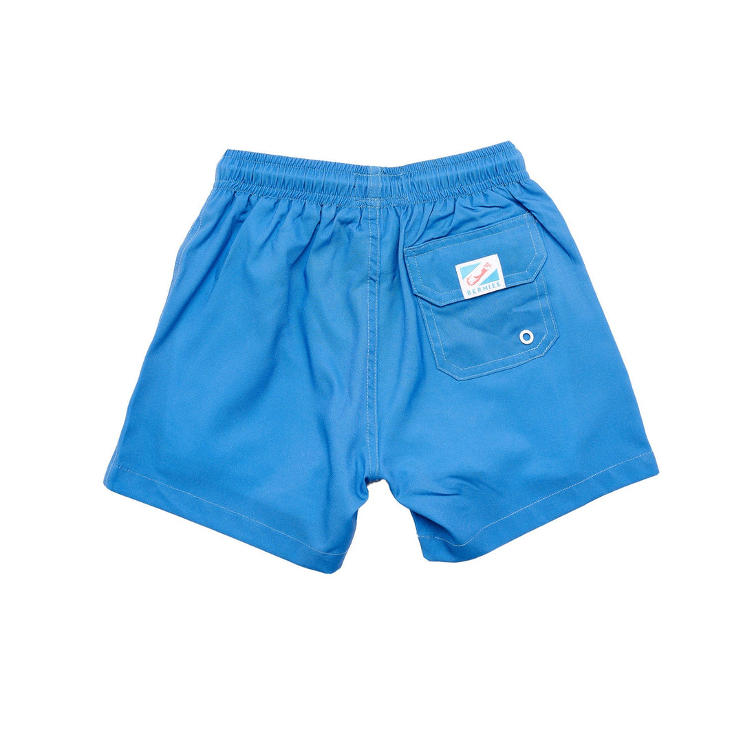 Blue to Shark
