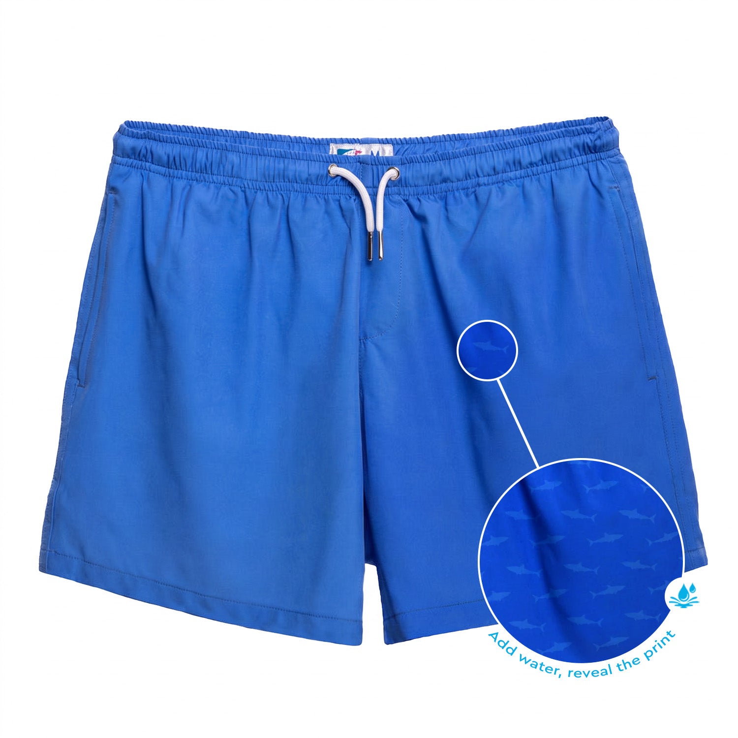  Blue to Shark