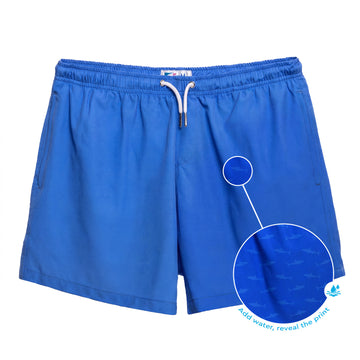 Blue to Shark
