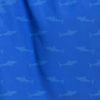  Blue to Shark