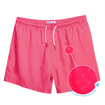 Pink to Flamingo