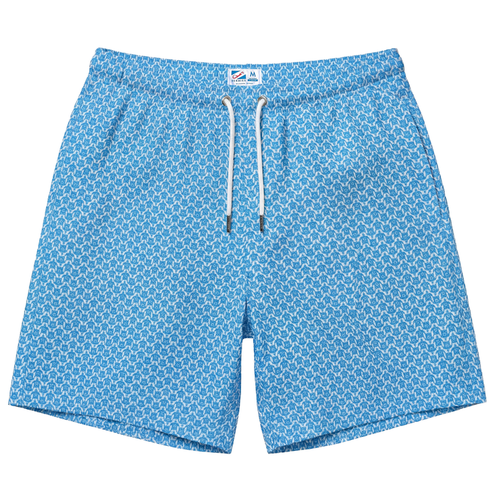 Turtle Blue