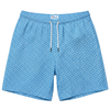 Turtle Blue