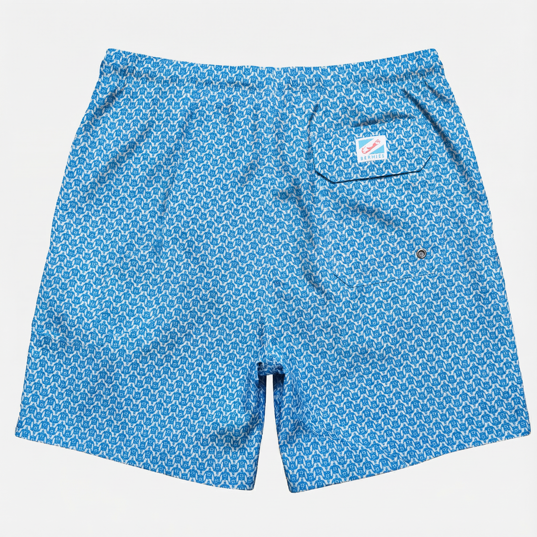 Turtle Blue