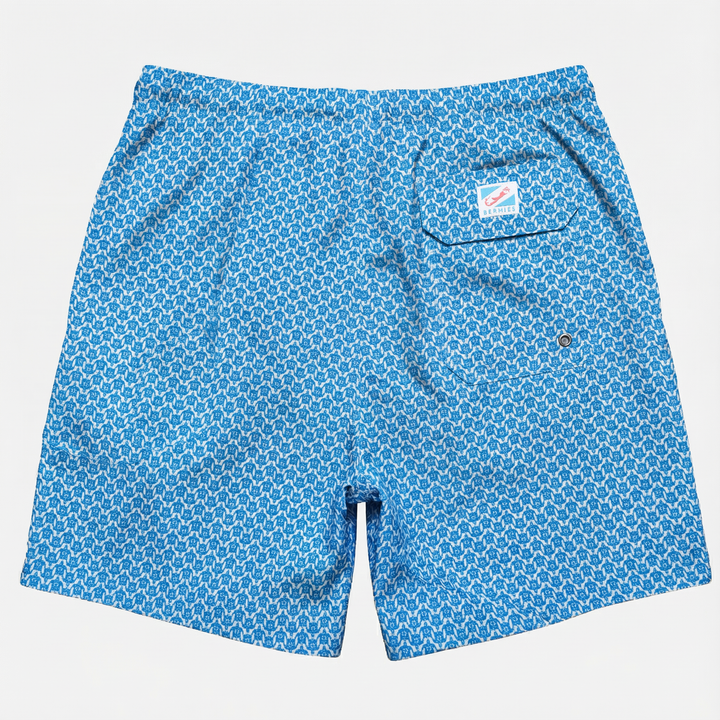 Turtle Blue