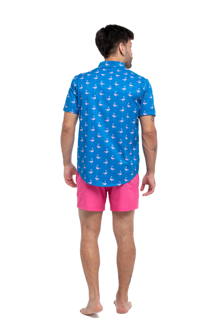 Crazy Flamingo