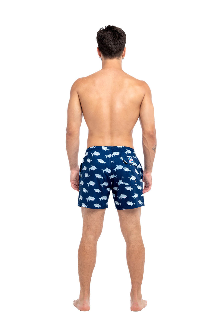 Sharkies 2.0
