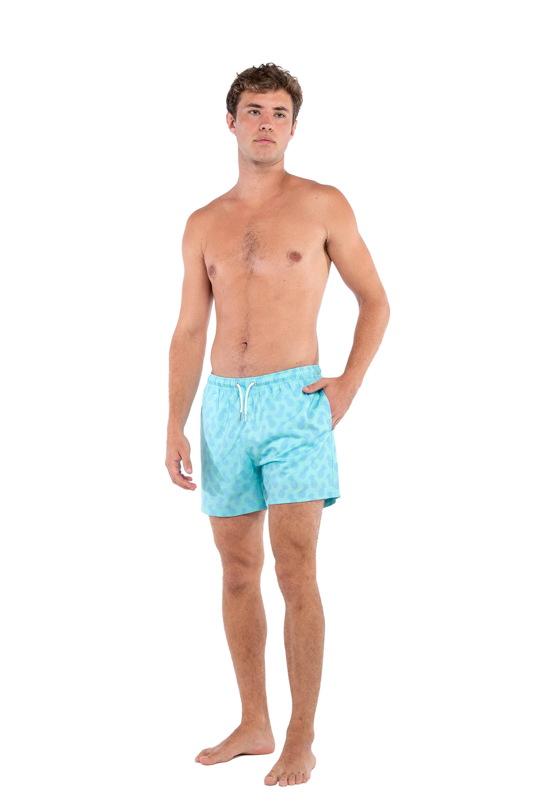 Pineapple Aqua
