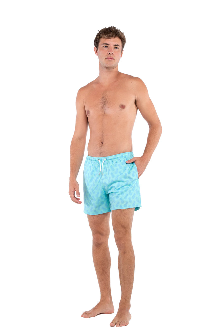 Pineapple Aqua