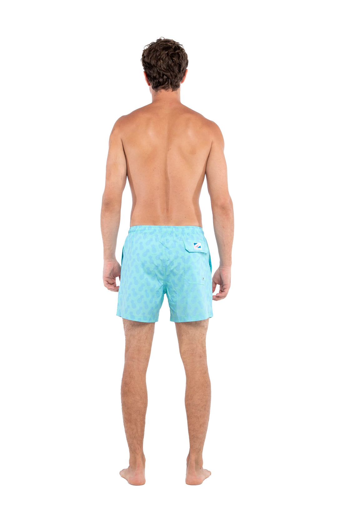 Pineapple Aqua
