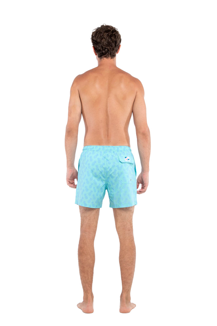 Pineapple Aqua