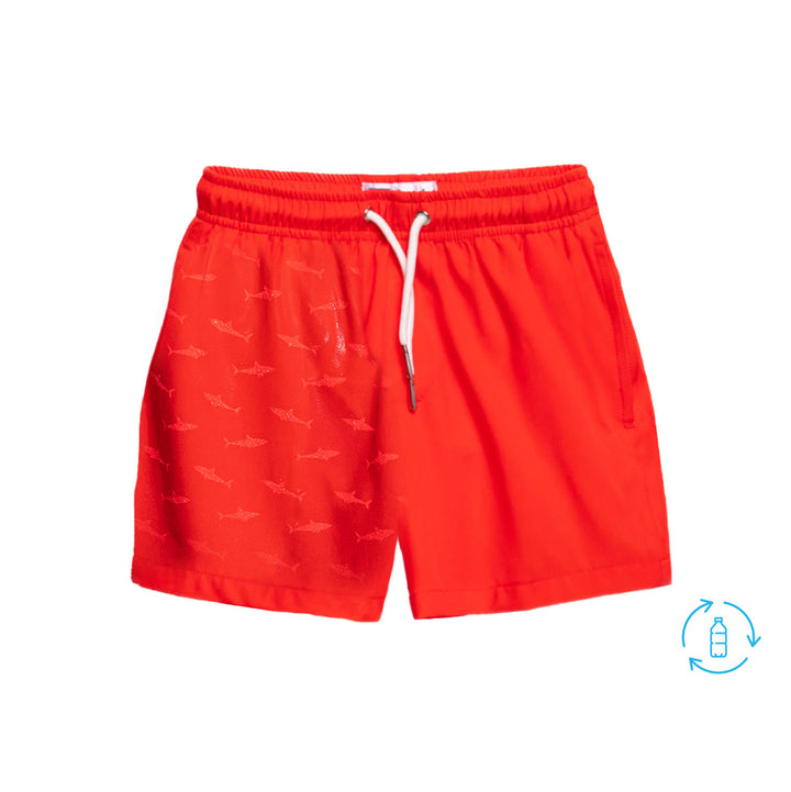 Red to Shark