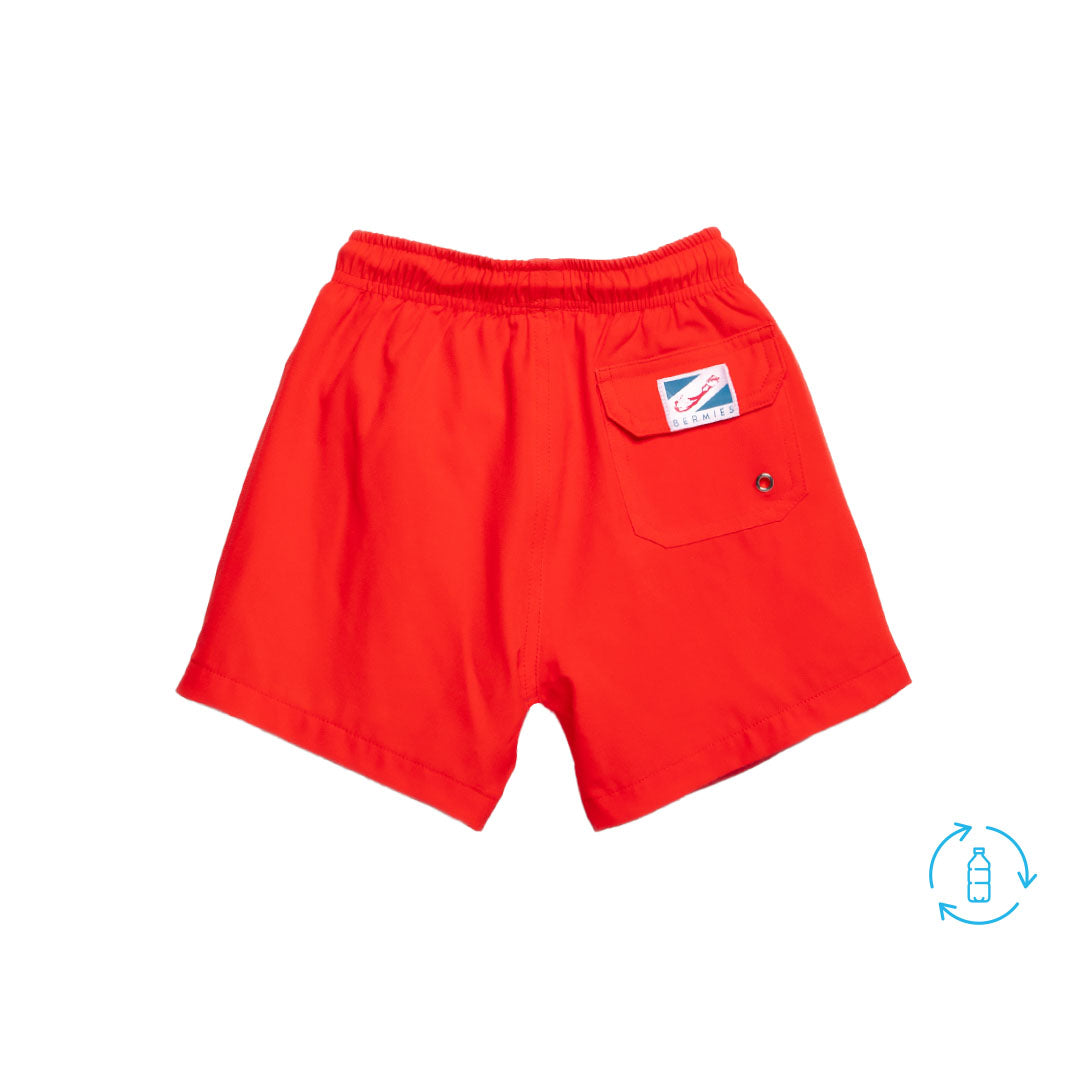 Red to Shark
