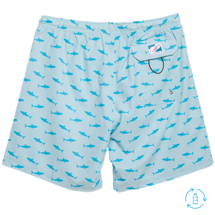 Blue Shark