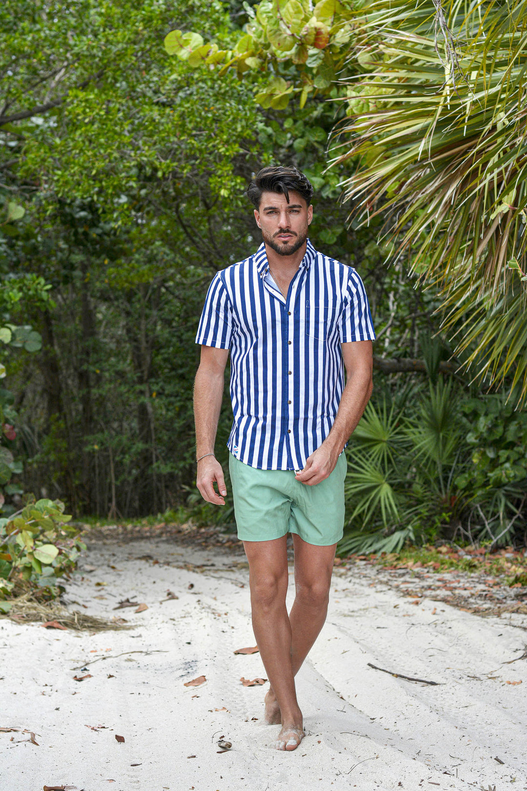 Navy Stripes
