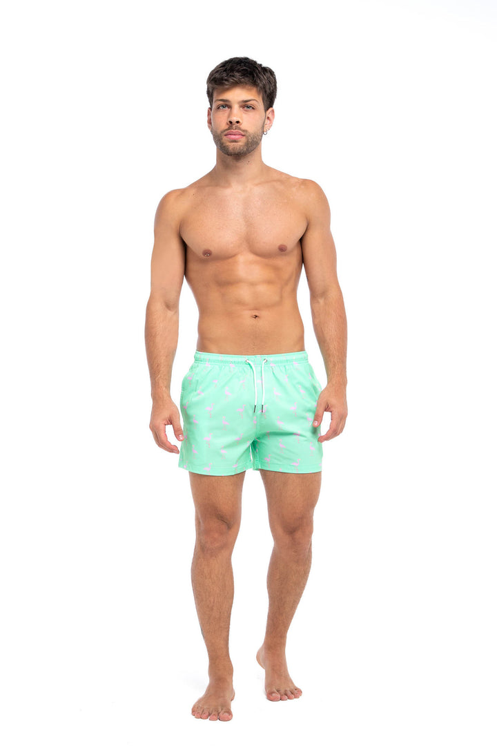 Green Flamingo