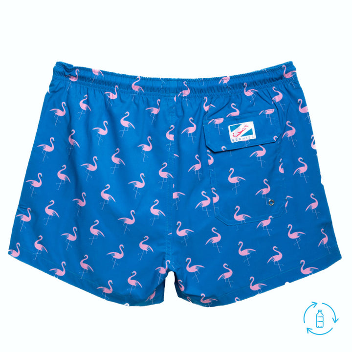 Crazy Flamingo