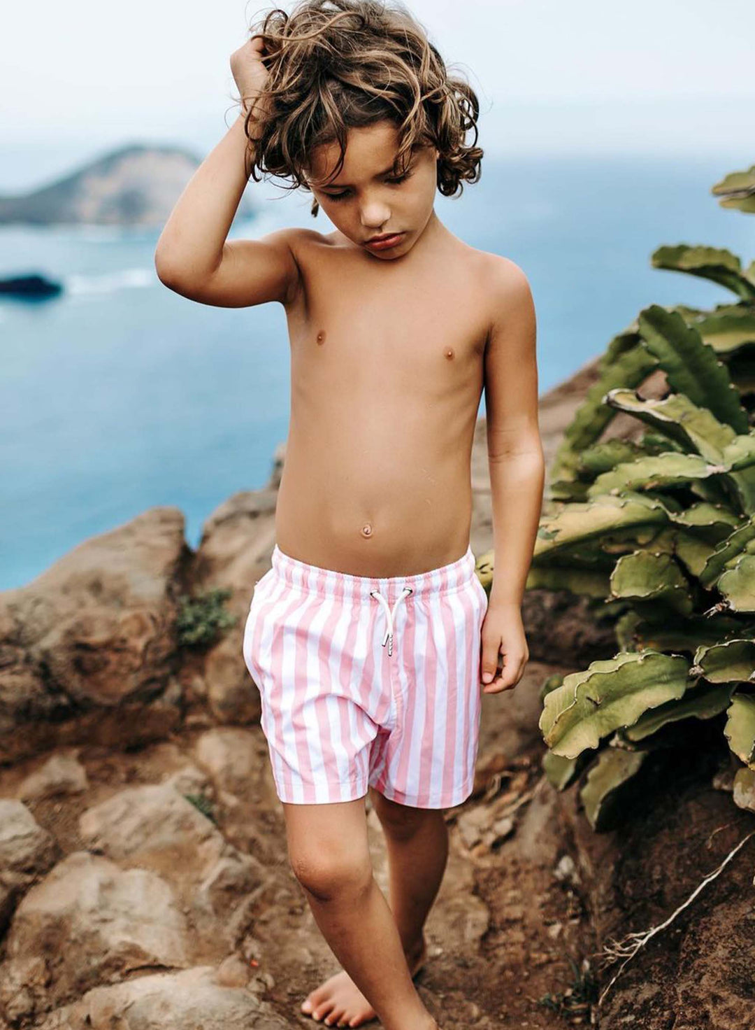 Pink Stripes