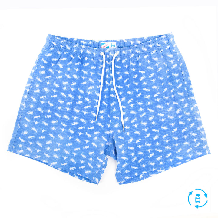 Mini Sharks