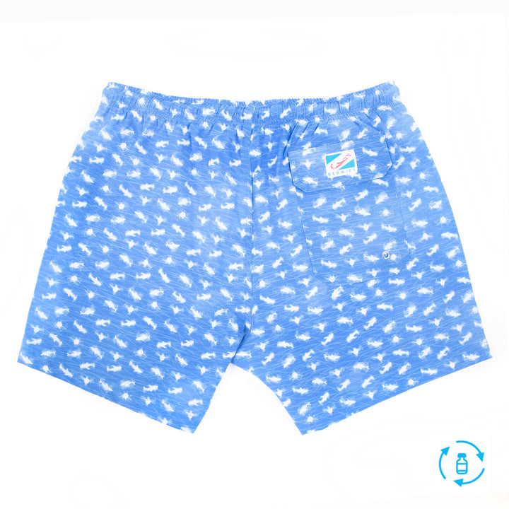 Mini Sharks