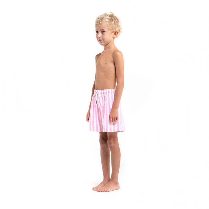 Pink Stripes